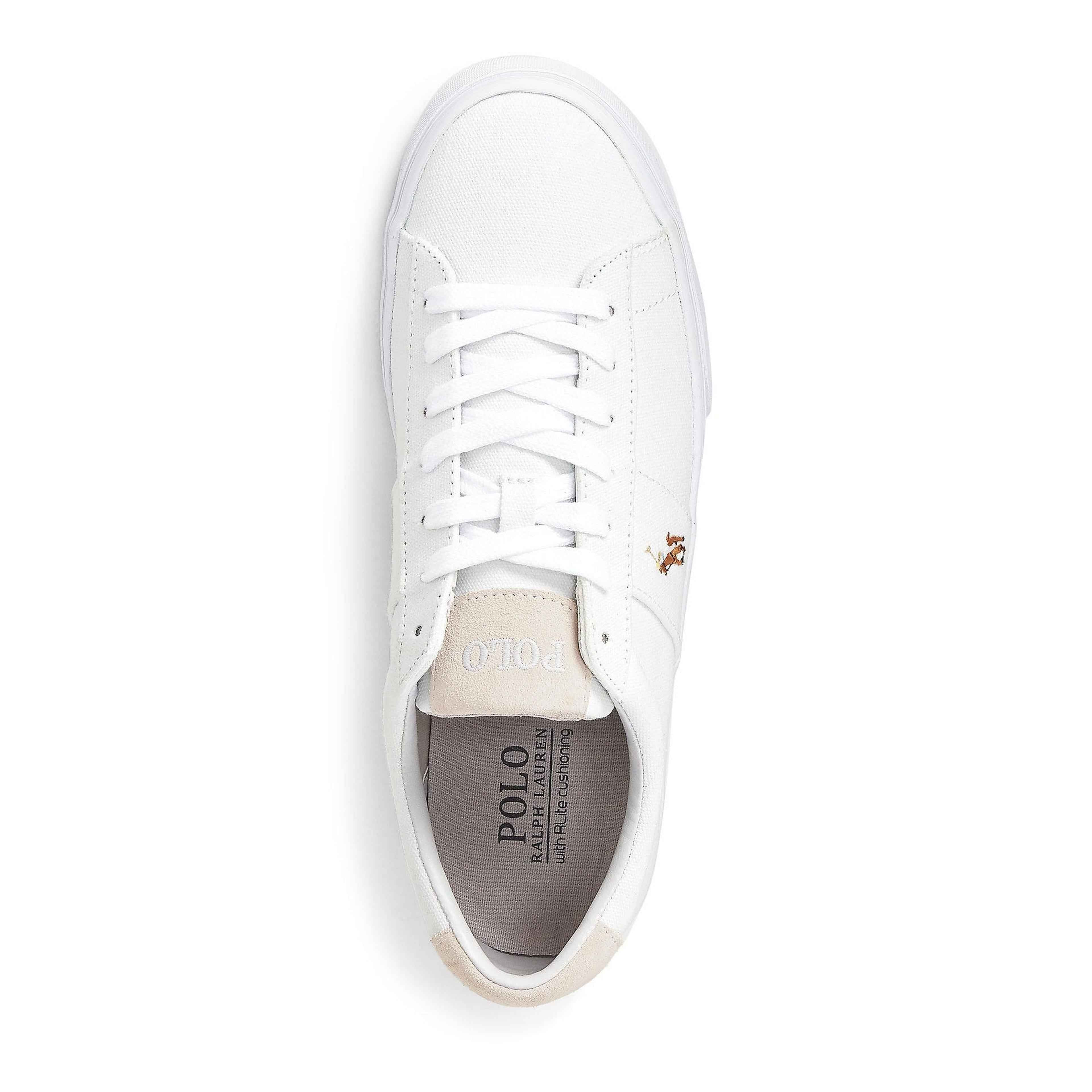 Polo Ralph Lauren - Men's Sayer Canvas Low-Top Trainers