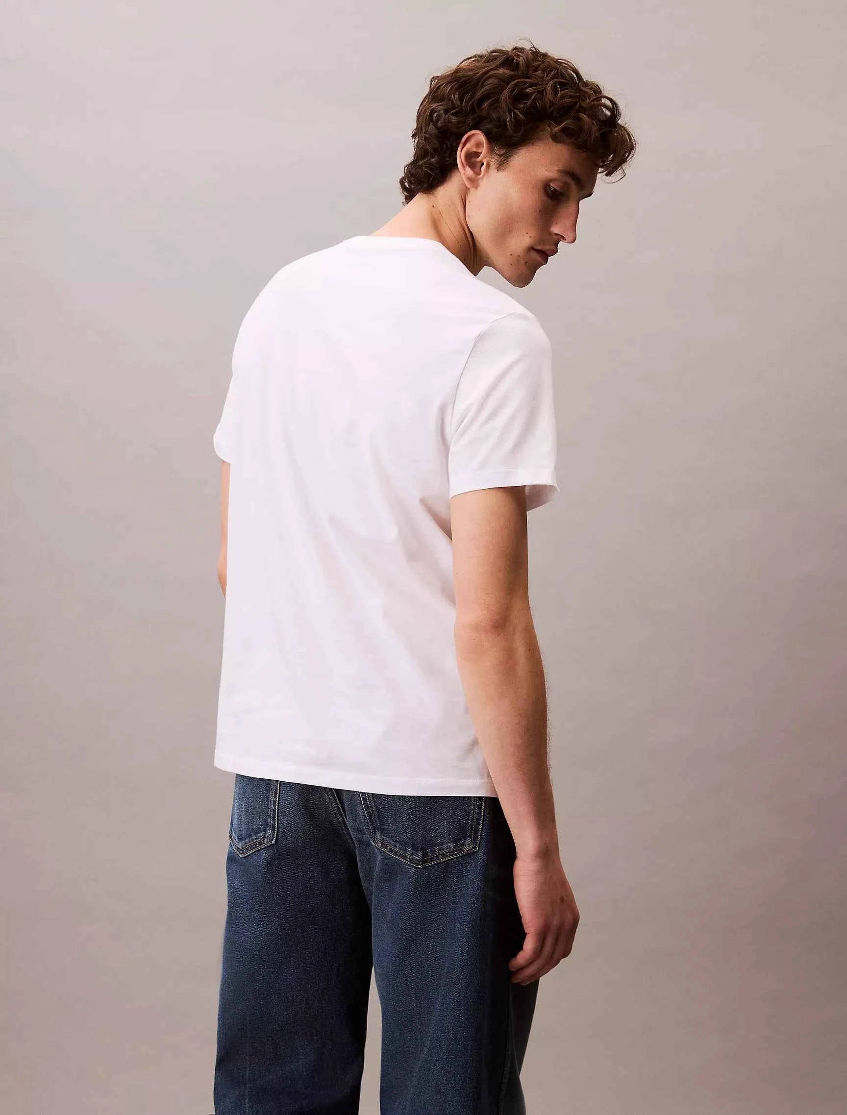 Calvin Klein -  Monologo Tee