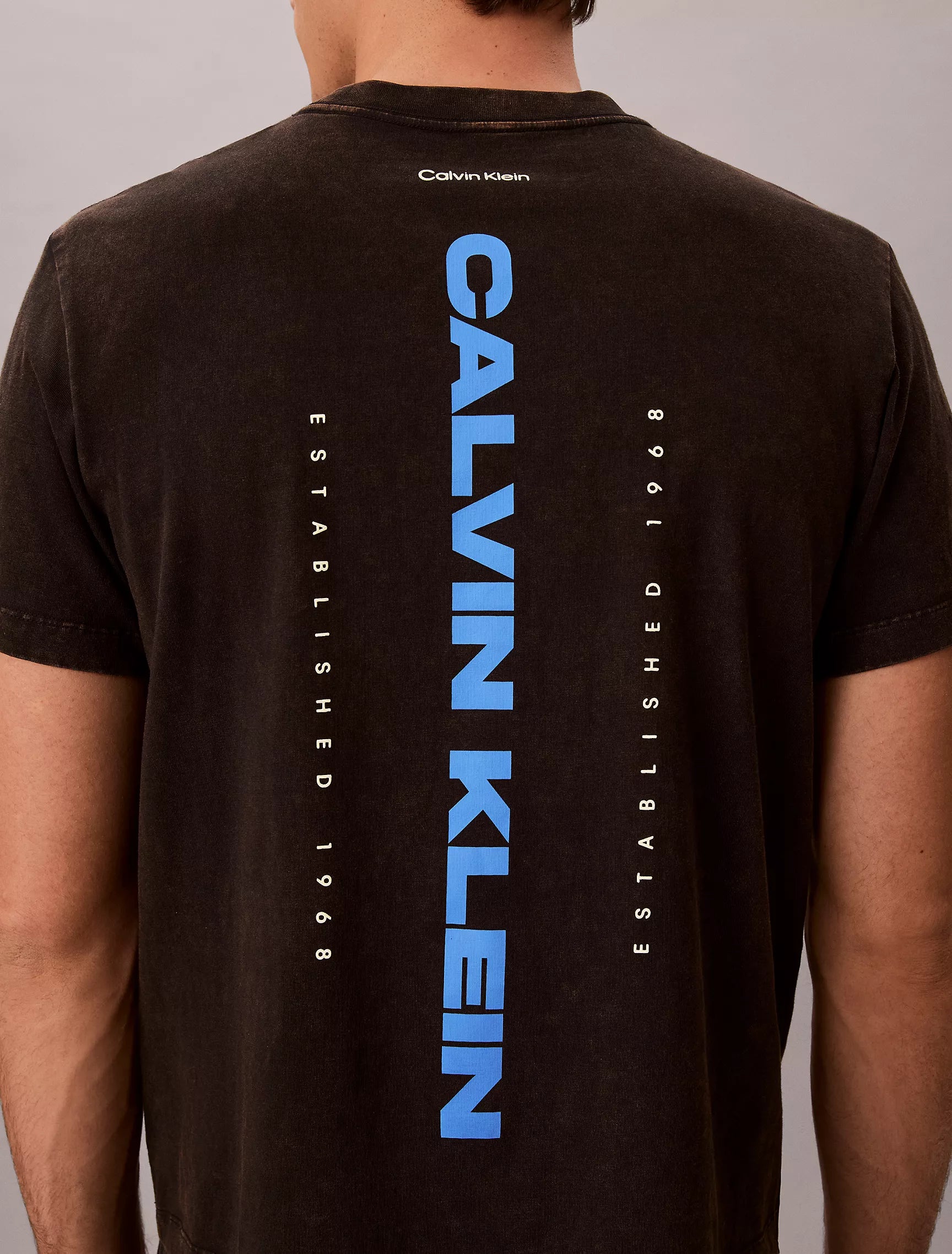 Calvin Klein - Washed Compact Logo Graphic Classic T-Shirt