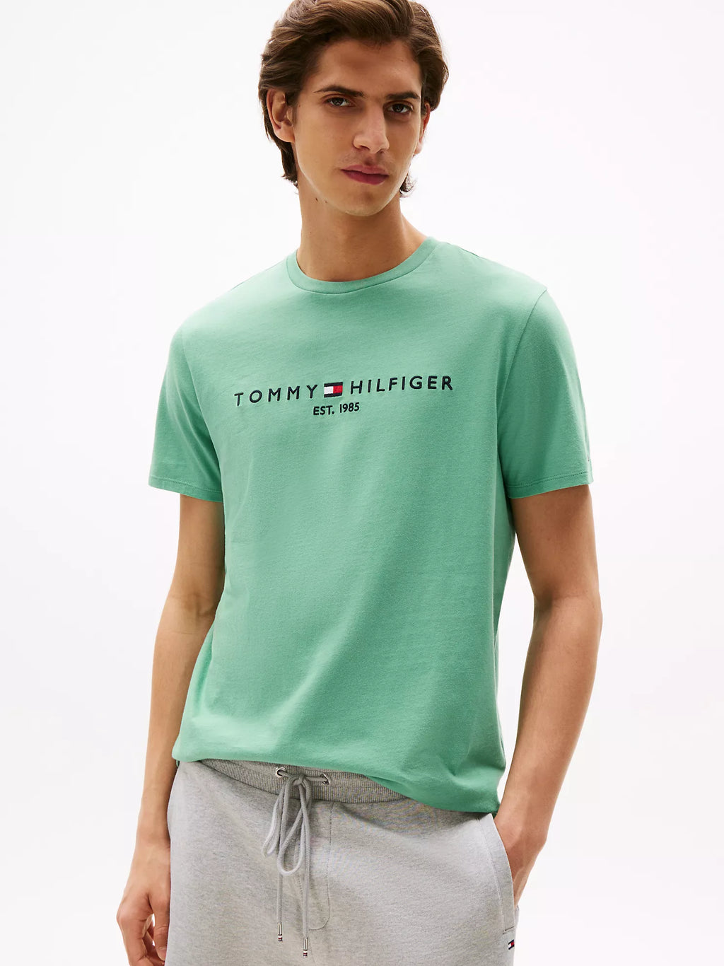 Embroidered Tommy Logo T-Shirt