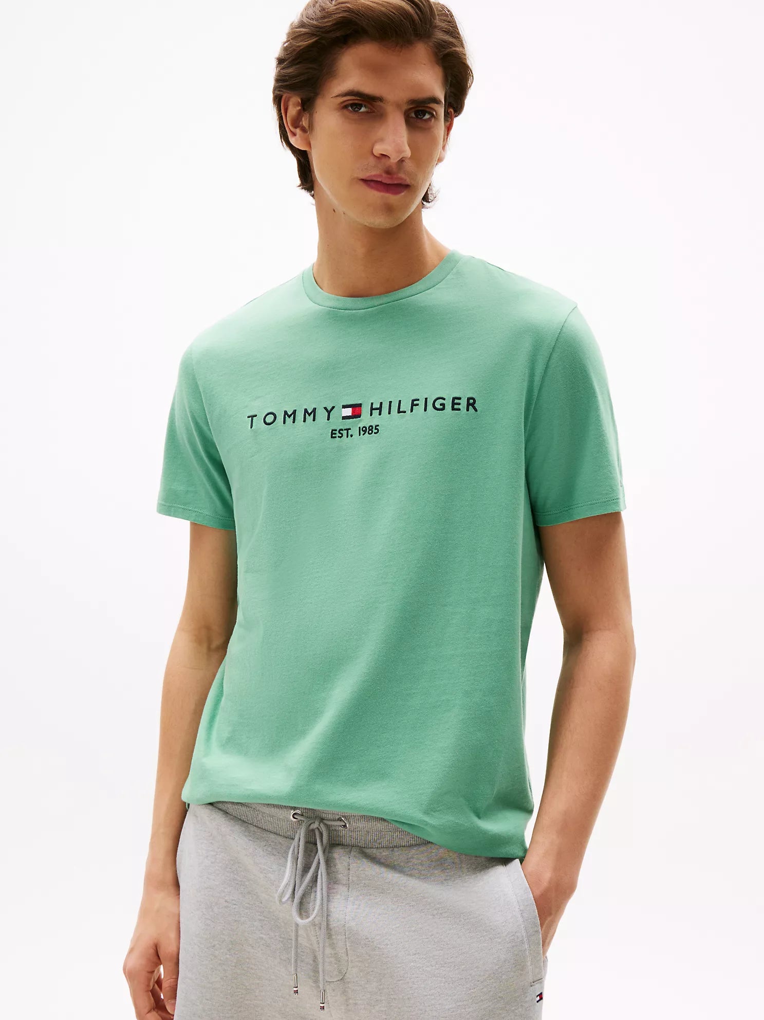 Embroidered Tommy Logo T-Shirt