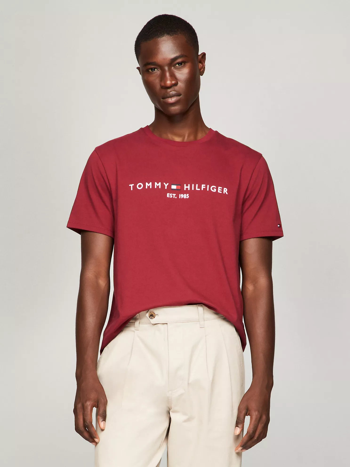 Embroidered Tommy Logo T-Shirt