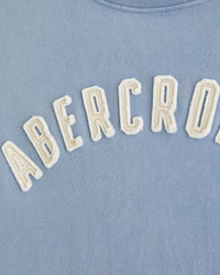 Abercrombie & Fitch - Premium Heavyweight 2.0 Logo Tee