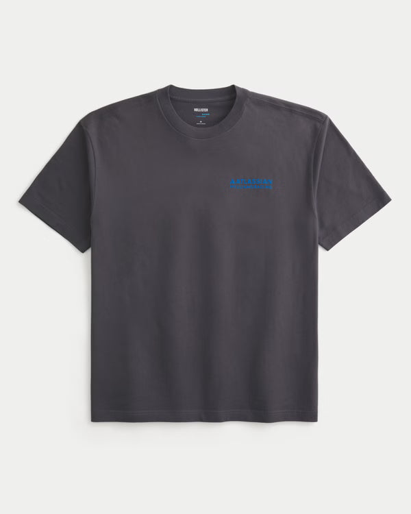 Hollister - Boxy Atlassian Williams Racing Graphic Tee