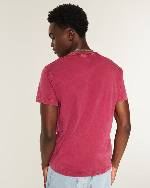 Hollister - Icon Crew T-Shirt IMMEDIATE