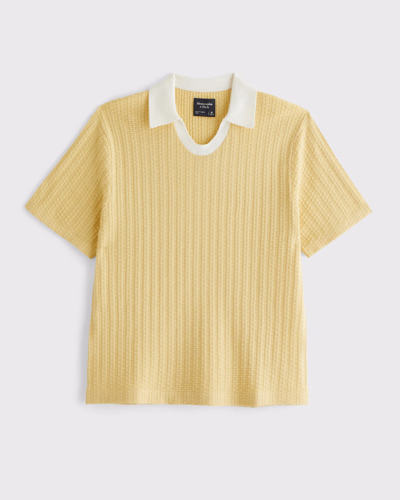 Abercrombie & Fitch - Varsity Johnny Collar Sweater Polo