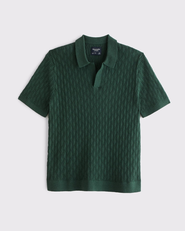 Abercrombie & Fitch - Textured Johnny Collar Sweater Polo