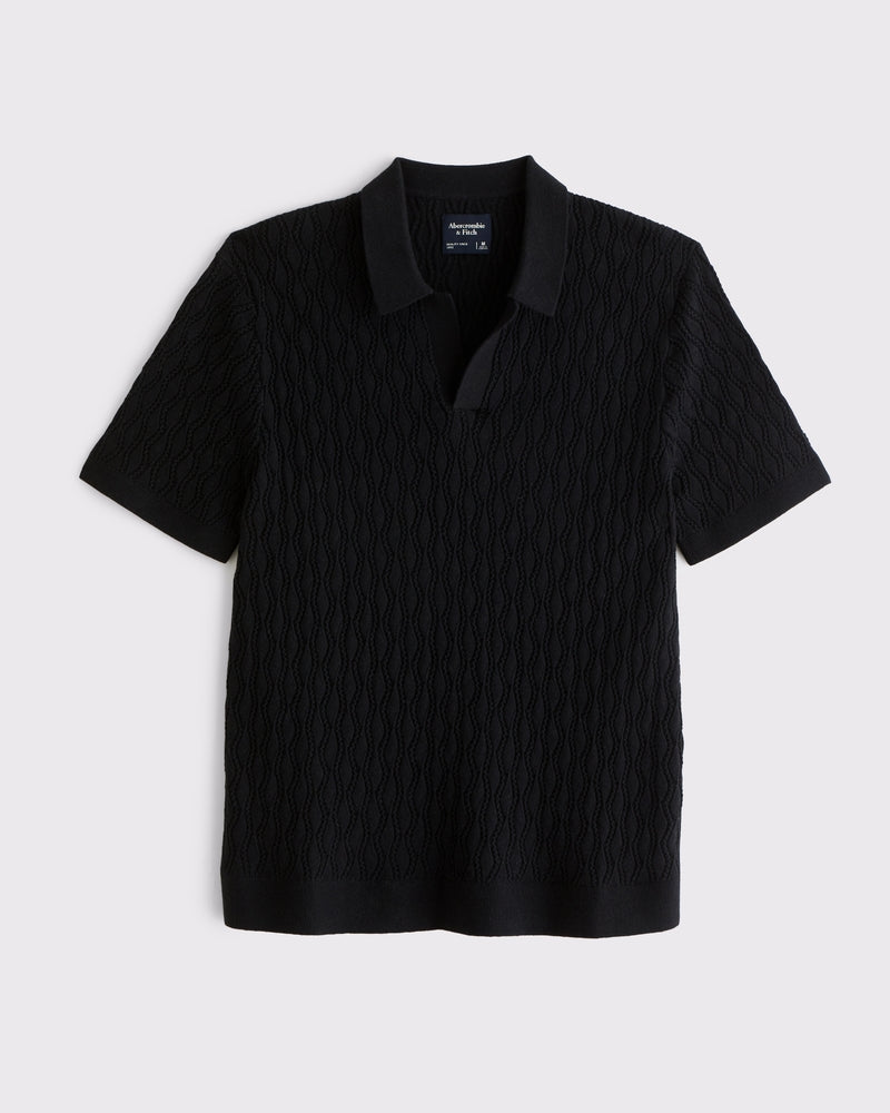 Abercrombie & Fitch - Textured Johnny Collar Sweater Polo