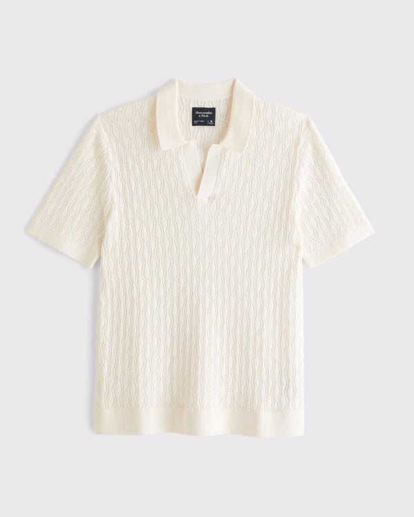 Abercrombie & Fitch - Textured Johnny Collar Sweater Polo