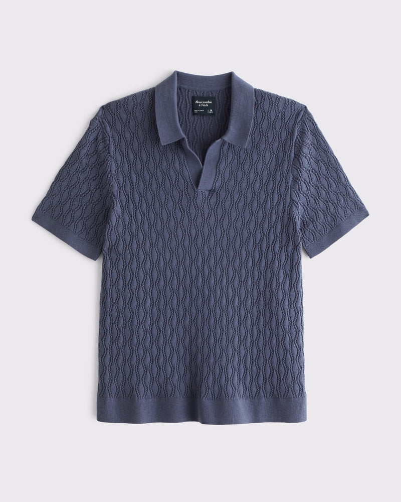 Abercrombie & Fitch - Textured Johnny Collar Sweater Polo