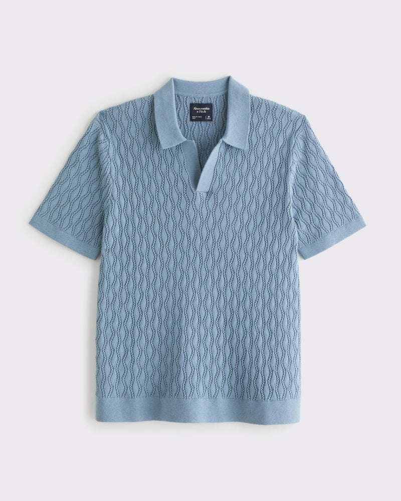 Abercrombie & Fitch - Textured Johnny Collar Sweater Polo