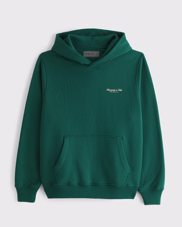Abercrombie & Fitch - Micro-Logo Popover Hoodie