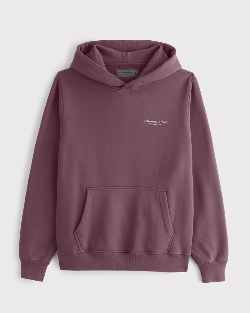 Abercrombie & Fitch - Micro-Logo Popover Hoodie