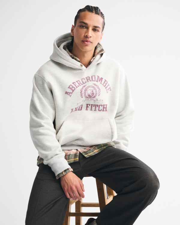 Abercrombie & Fitch - Logo Popover Hoodie