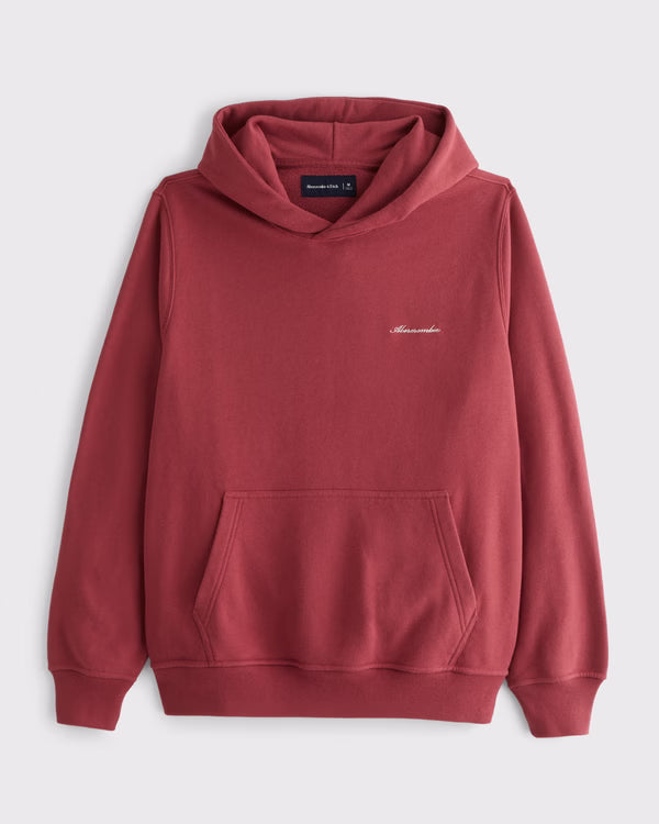 Abercrombie & Fitch - Terry Script Logo Popover Hoodie