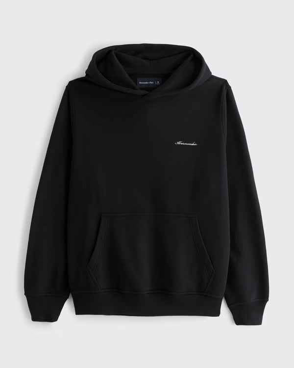 Abercrombie & Fitch - Terry Script Logo Popover Hoodie
