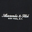 Abercrombie & Fitch - Premium Polished Micro-Logo Tee IMMEDIATE