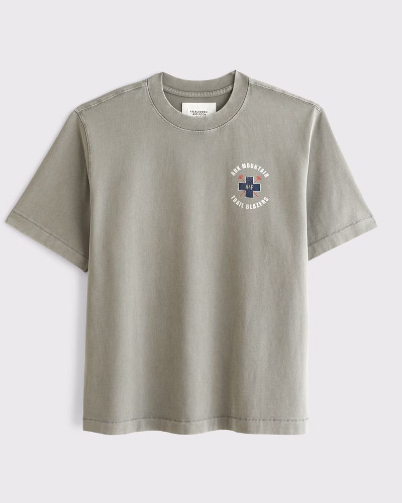 Abercrombie & Fitch - Premium Heavyweight 2.0 Tee