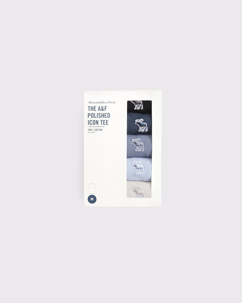Abercrombie & Fitch - 5 - Pack Polished Tonal Icon Tees - Brandatak Store