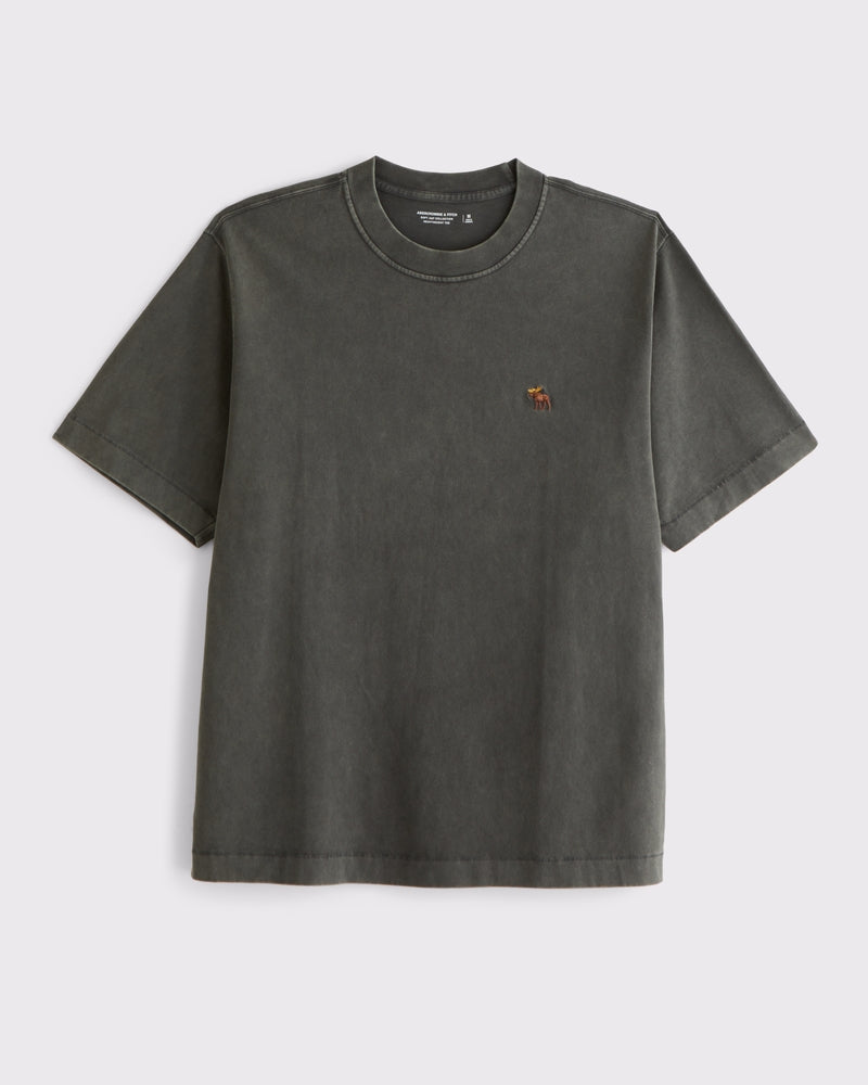 Abercrombie & Fitch - Heavyweight 2.0 Signature Icon Tee