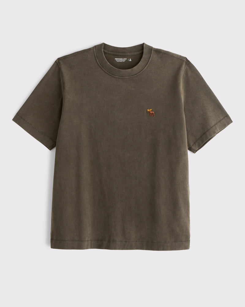 Abercrombie & Fitch - Heavyweight 2.0 Signature Icon Tee