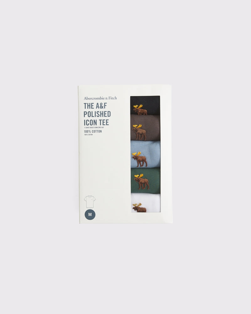 Abercrombie & Fitch - 5-Pack Polished Tonal Icon Tees