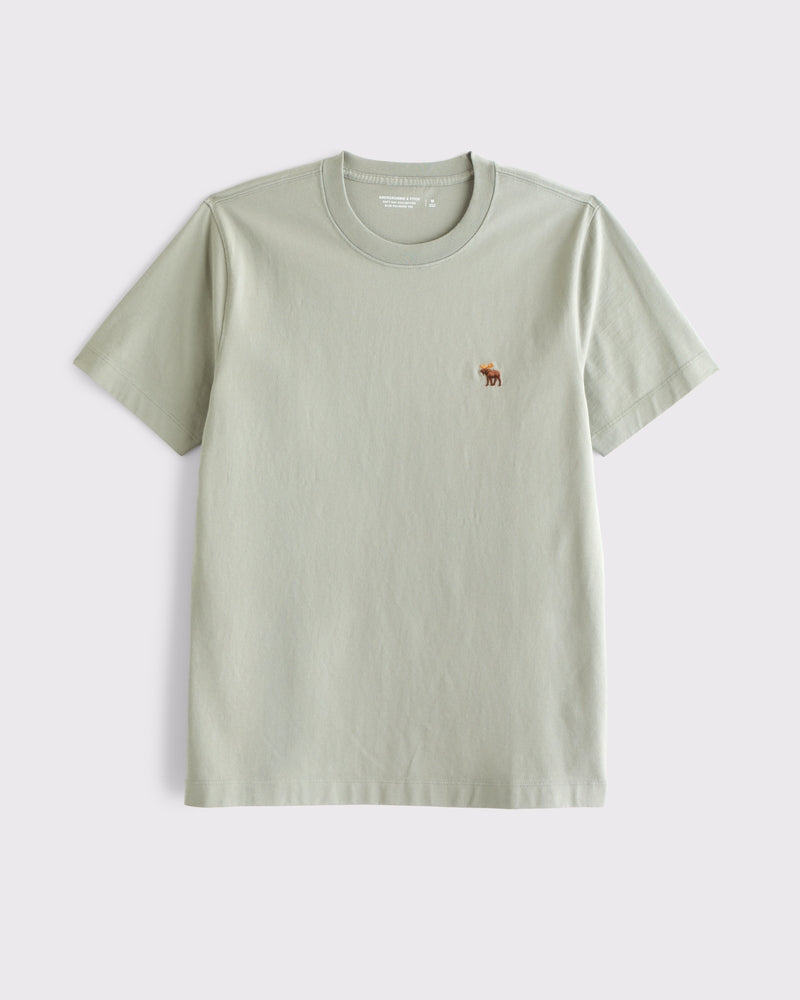 Abercrombie & Fitch - Slim Polished Signature Icon Tee