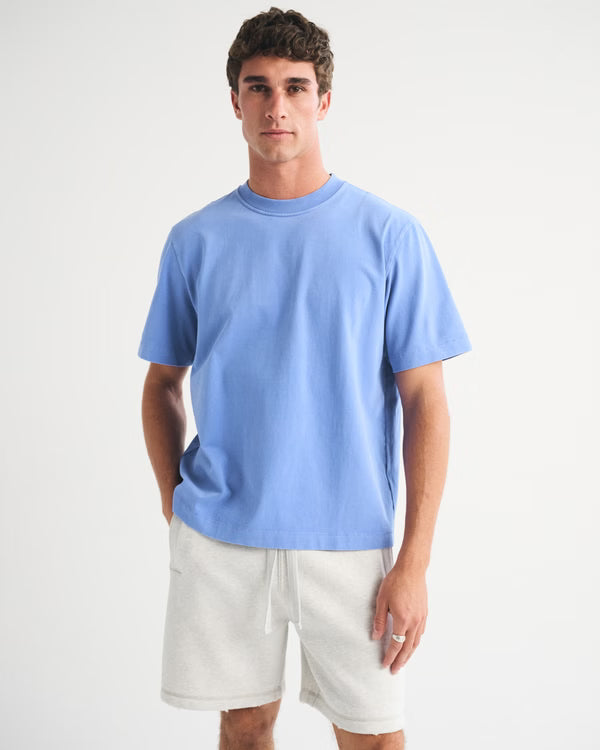 Abercrombie & Fitch - Premium Heavyweight 2.0 Tee