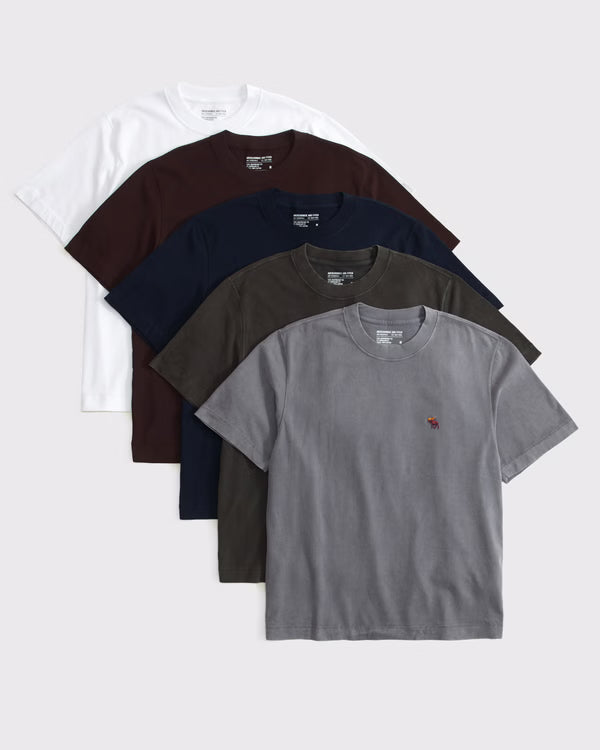 Abercrombie & Fitch - 5-Pack Premium Heavyweight 2.0 Signature Icon Tees