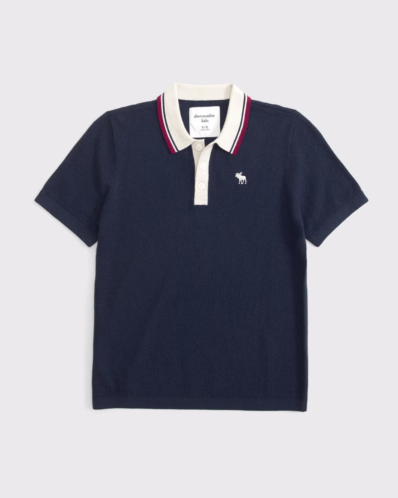 Abercrombie & Fitch - Icon 3-Button Sweater Polo