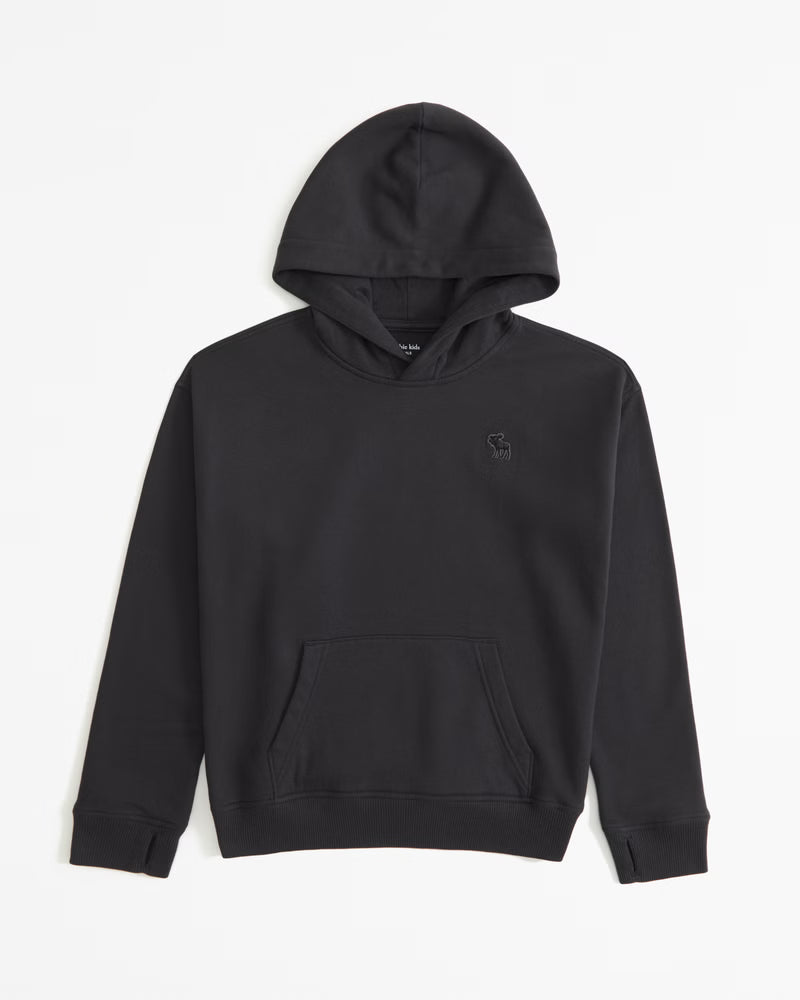 Abercrombie & Fitch - Boys Essential Icon Hoodie