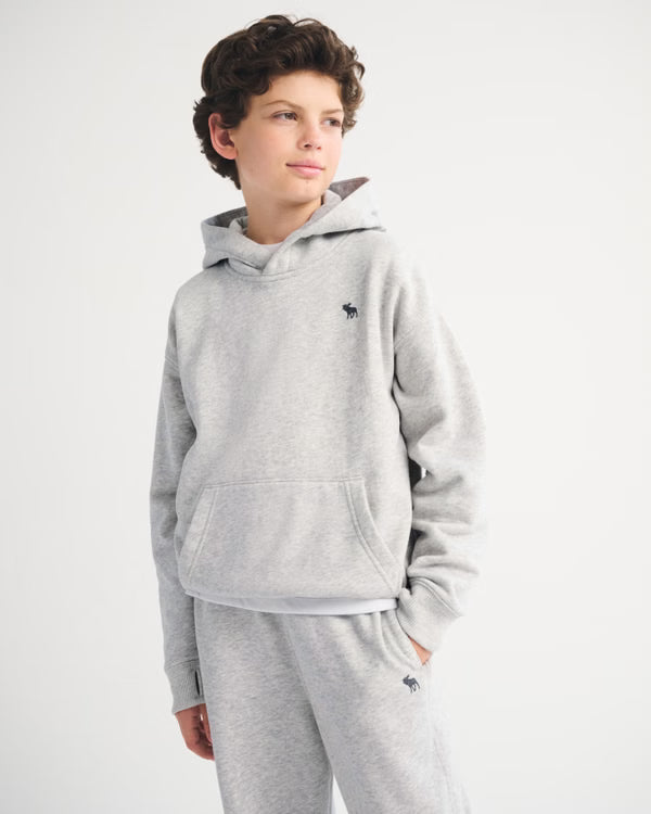 Abercrombie & Fitch - Boys Essential Icon Hoodie