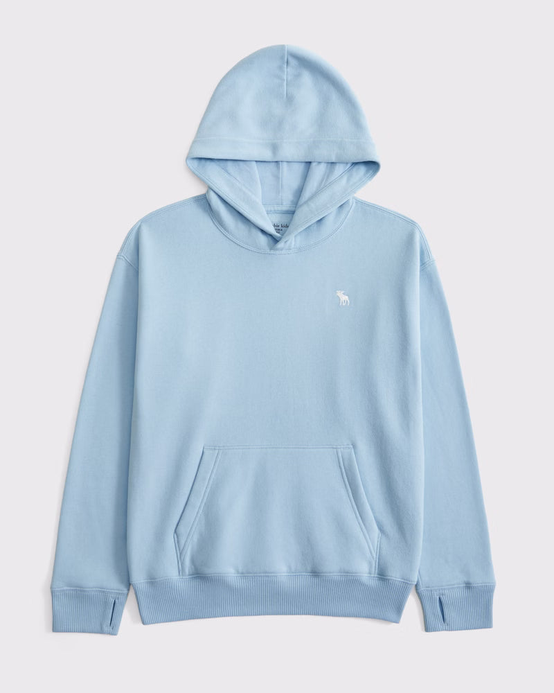 Abercrombie & Fitch - Boys Essential Icon Hoodie