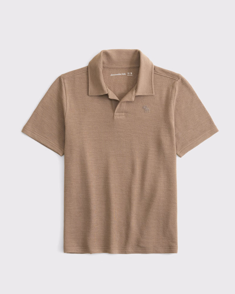 Abercrombie & Fitch - Icon Johnny Collar Polo