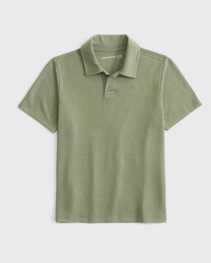 Abercrombie & Fitch - Icon Johnny Collar Polo