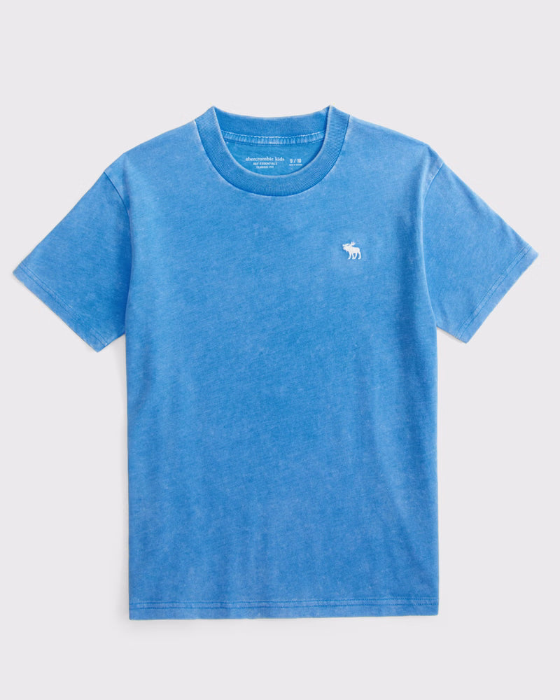 Abercrombie & Fitch - Essential Icon Crew Tee