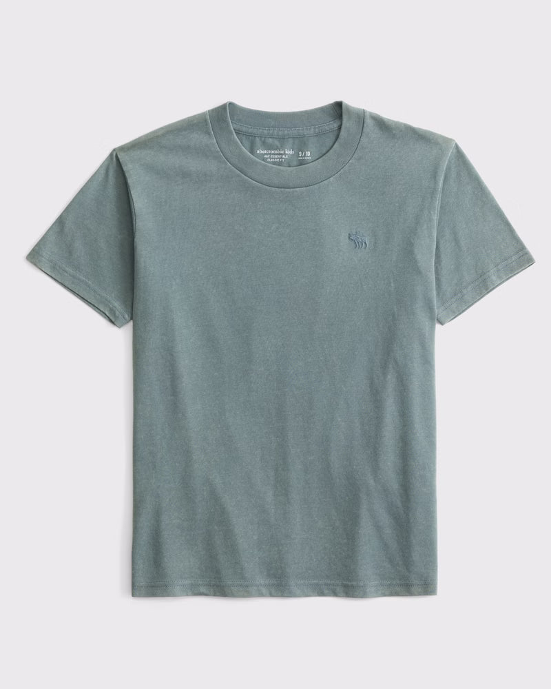 Abercrombie & Fitch - Essential Icon Crew Tee