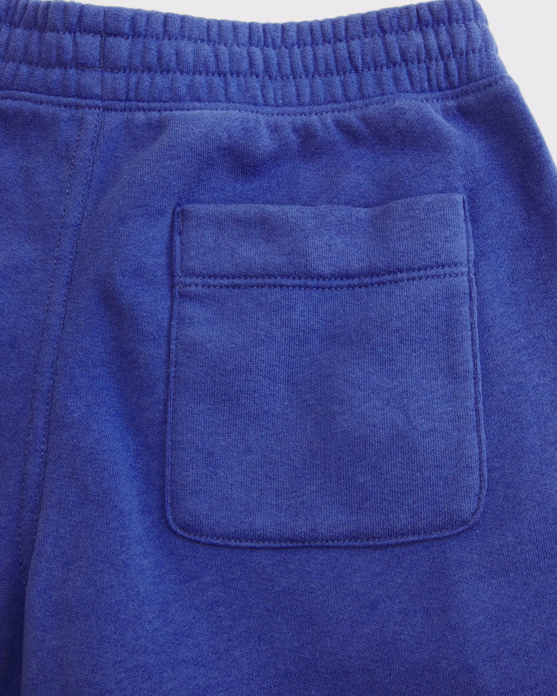 Abercrombie & Fitch - Icon Fleece Shorts