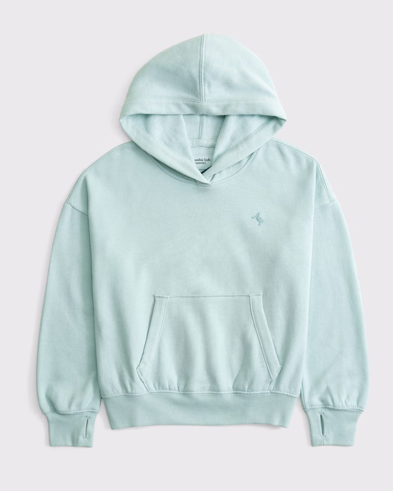 Abercrombie & Fitch - Essential Popover Hoodie