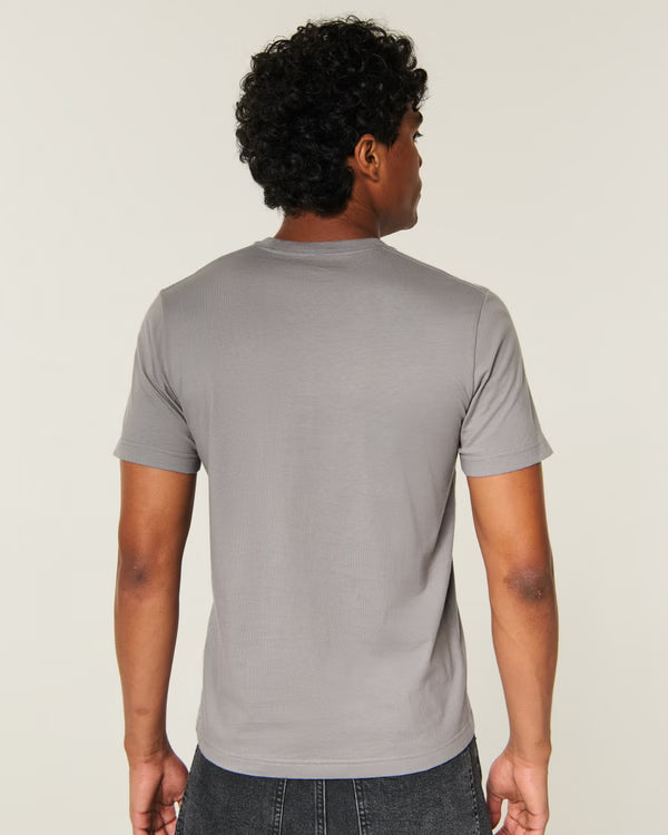 Hollister - Must Have Cotton Icon Tee