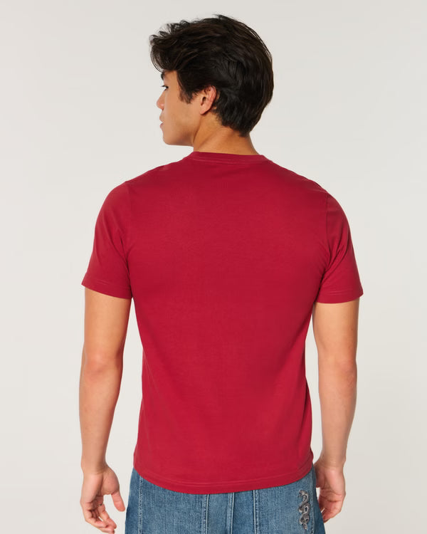Hollister - Must Have Cotton Icon Tee