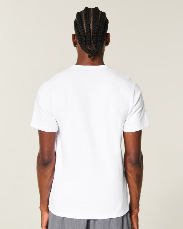 Hollister - The Premium Tee