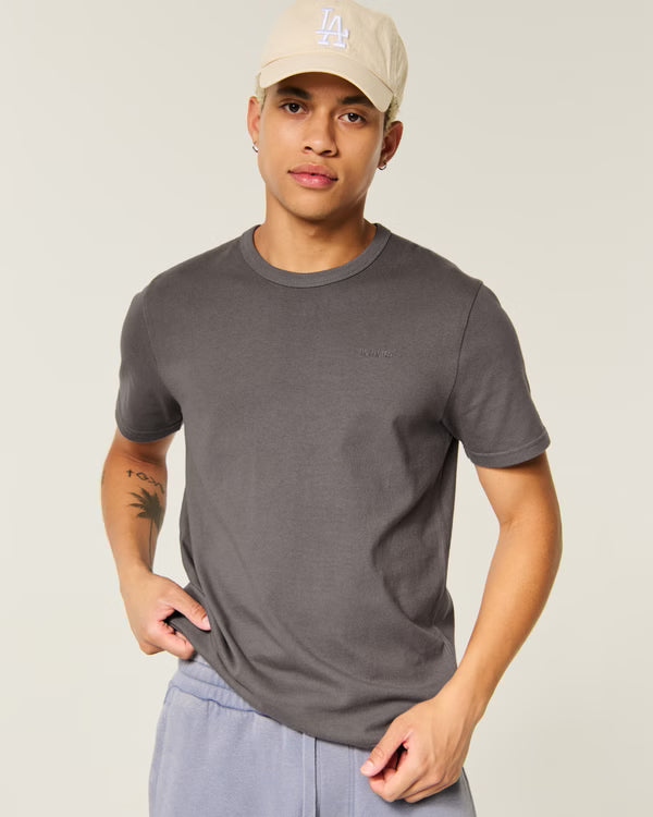 Hollister - The Premium Tee