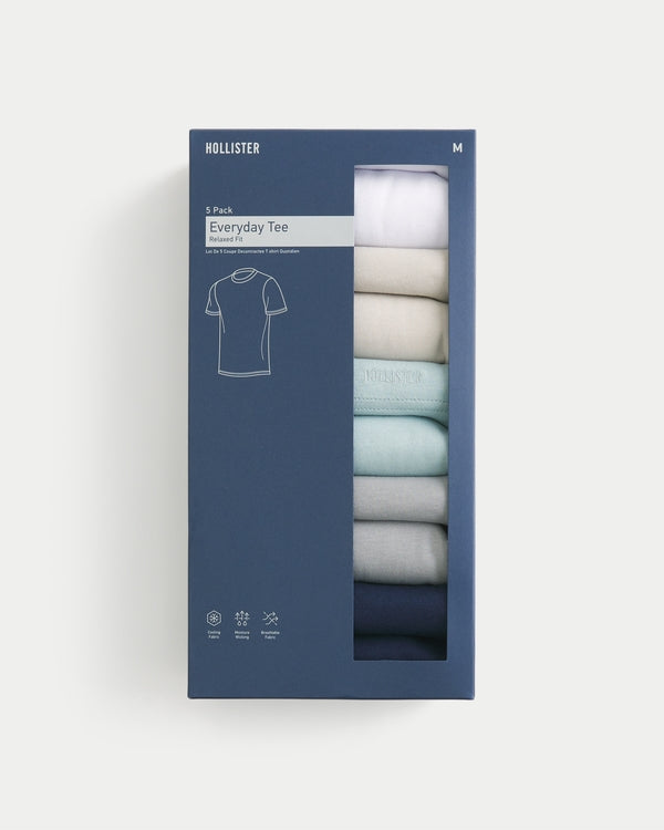 Hollister - Everyday Tee 5-Pack
