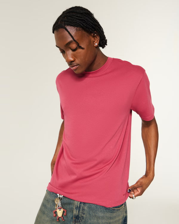 Hollister - Relaxed Everyday Tee