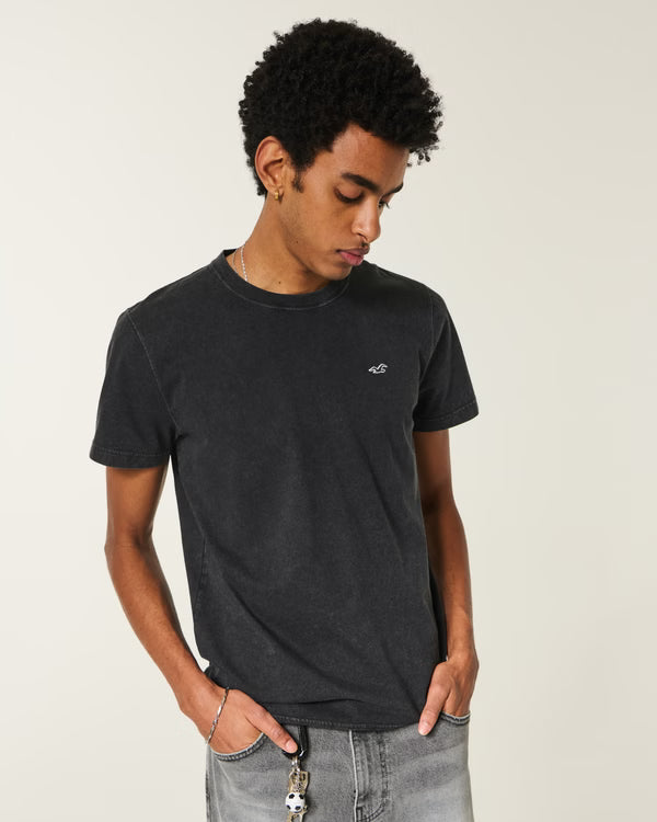 Hollister - Icon Crew T-Shirt