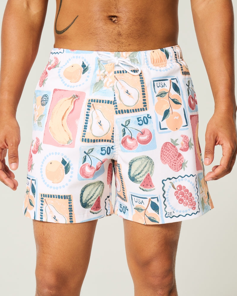 Mid-Thigh Volley Swim Trunks