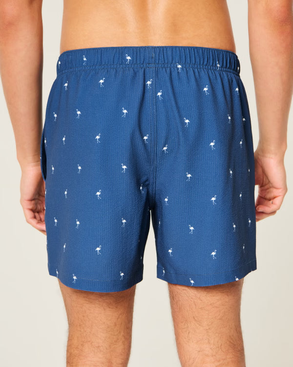 Hollister - Mid-Thigh Seersucker Swim Trunks