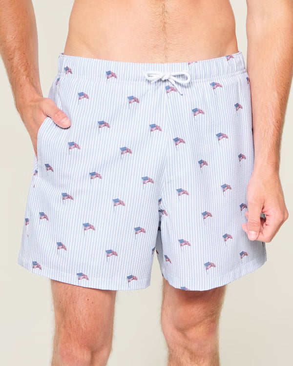 Hollister - Mid-Thigh Seersucker Swim Trunks
