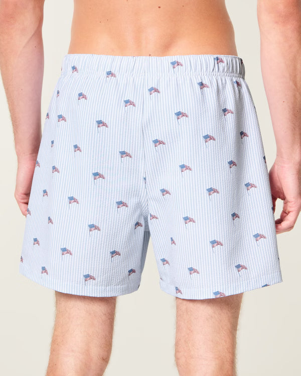 Hollister - Mid-Thigh Seersucker Swim Trunks
